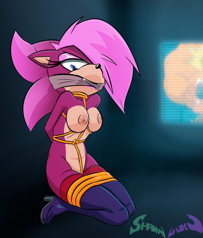 Sonic Underground Hentai