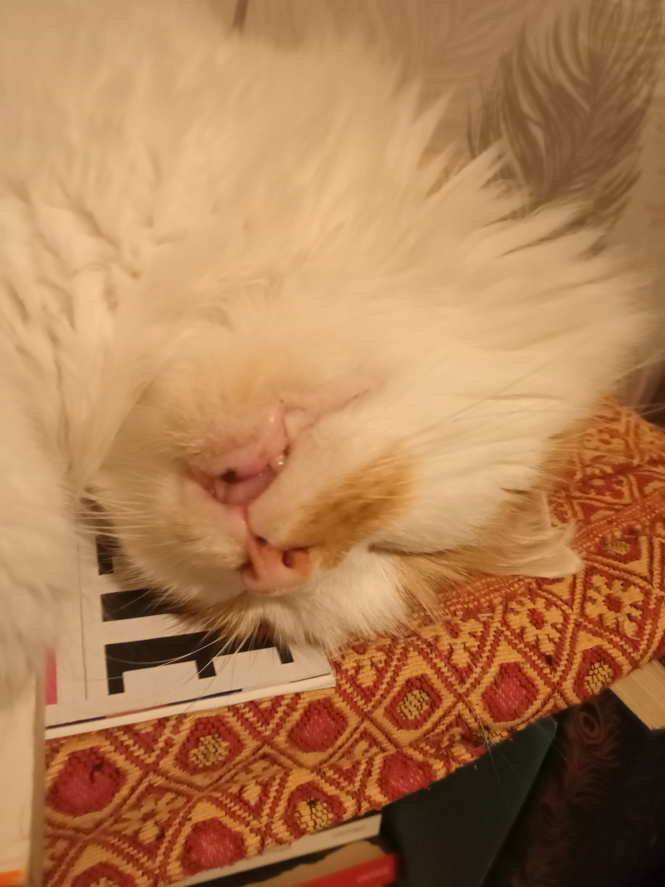 allofmystudentsrunaway