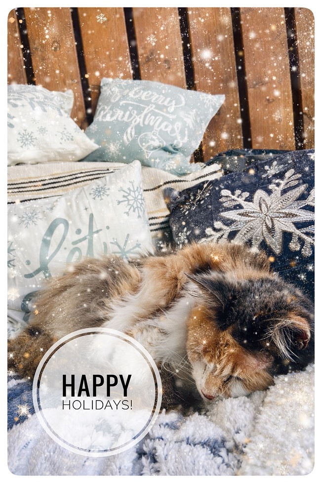 photo of a sleeping calico Maine Coon cat on Christmas style blankets with fluffy pillows and snow and glitter style decorations
