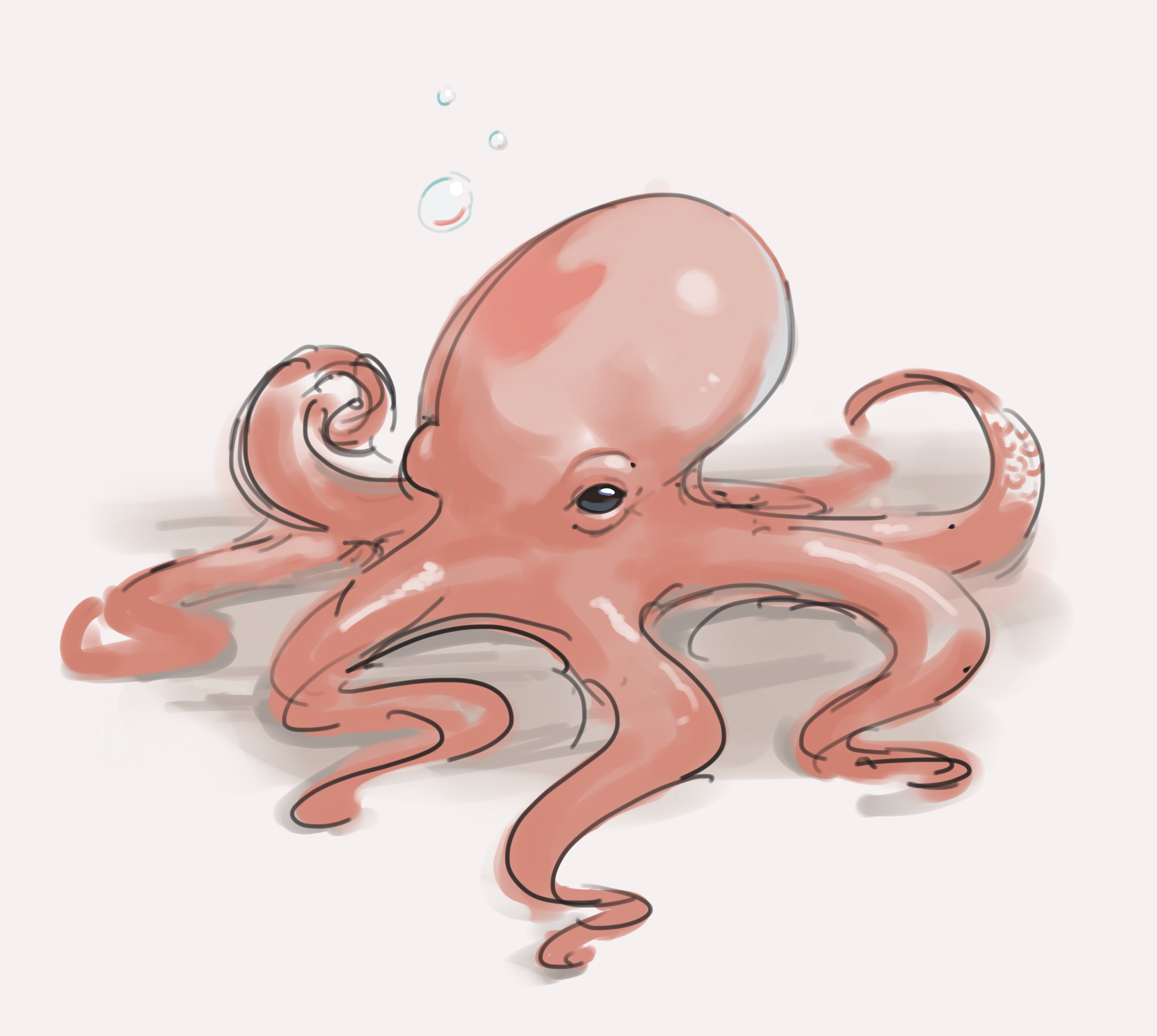 pillowfort octopus
