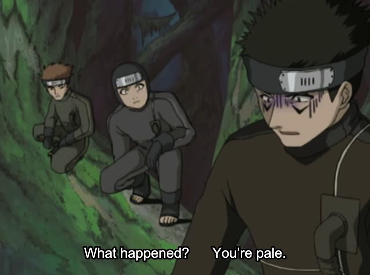 Searching for 'kiba inuzuka', image size:1197x890