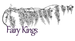 a66e1b24ac86_night%20court%20fairies%20saleskings.png