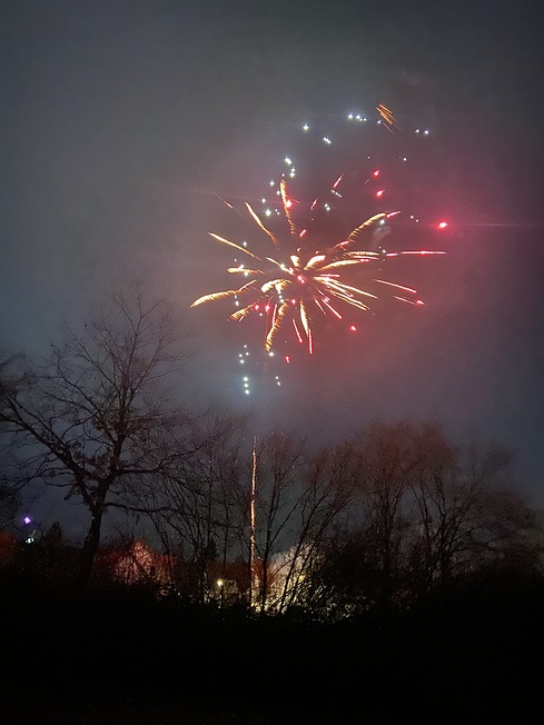 photo of blurry fireworks above a bare hedgerow